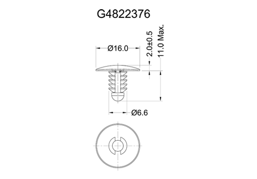 G4822376 2D 503X350.jpg